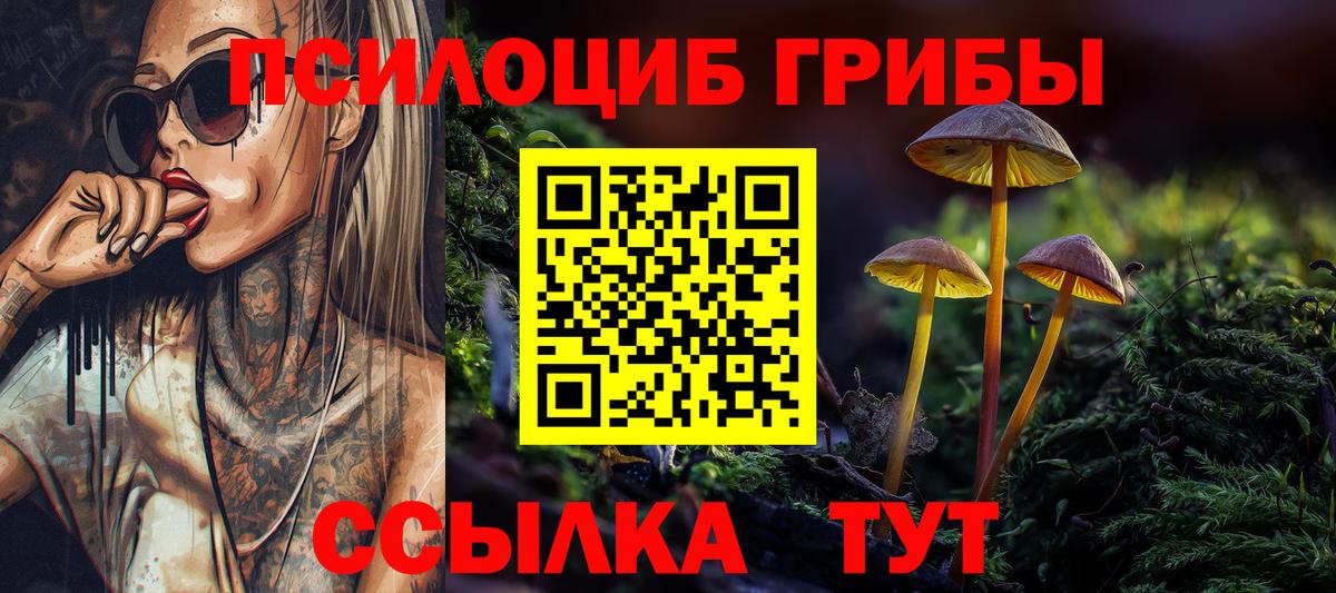 Псилоцибиновые грибы мухоморы  Вход с VPN  Псилоцибиновые грибы Magic Shrooms  Кунгур 